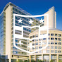 WashU Medicine Department of Medicine logo