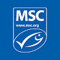 Marine Stewardship Council - Sustainable seafood YouTube channel avatar 