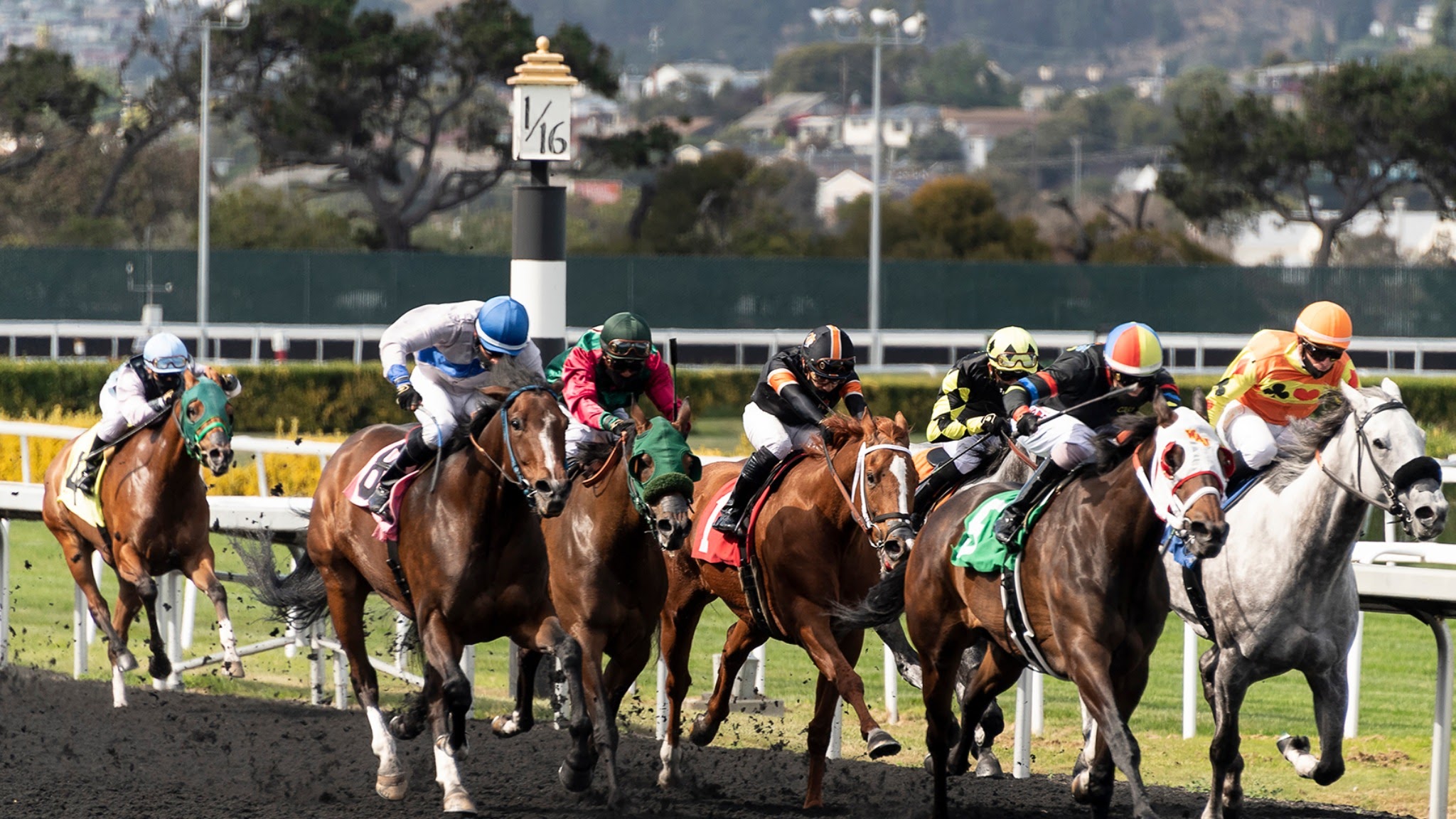 Golden Gate Fields YouTube banner