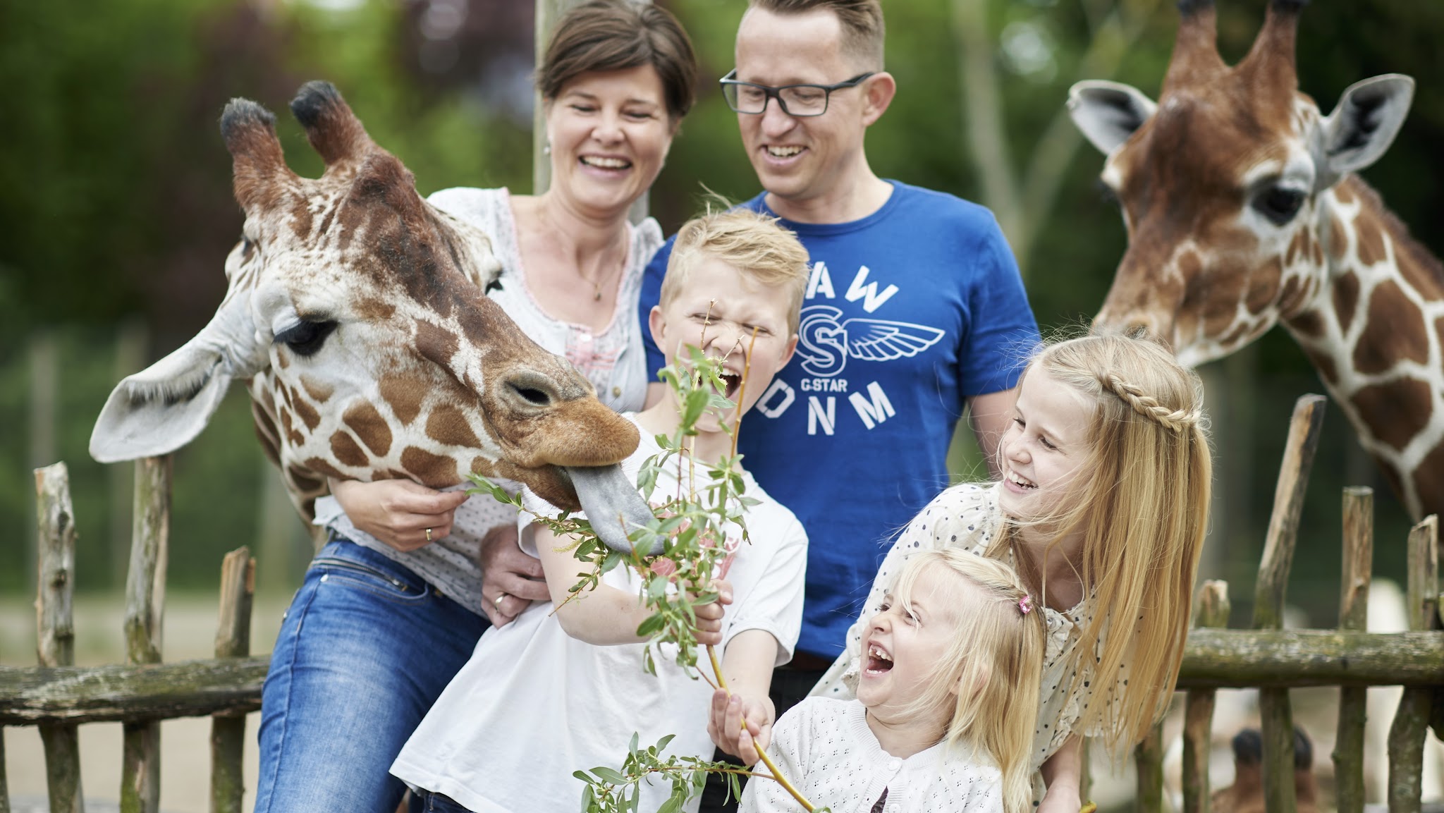Odense ZOO YouTube banner