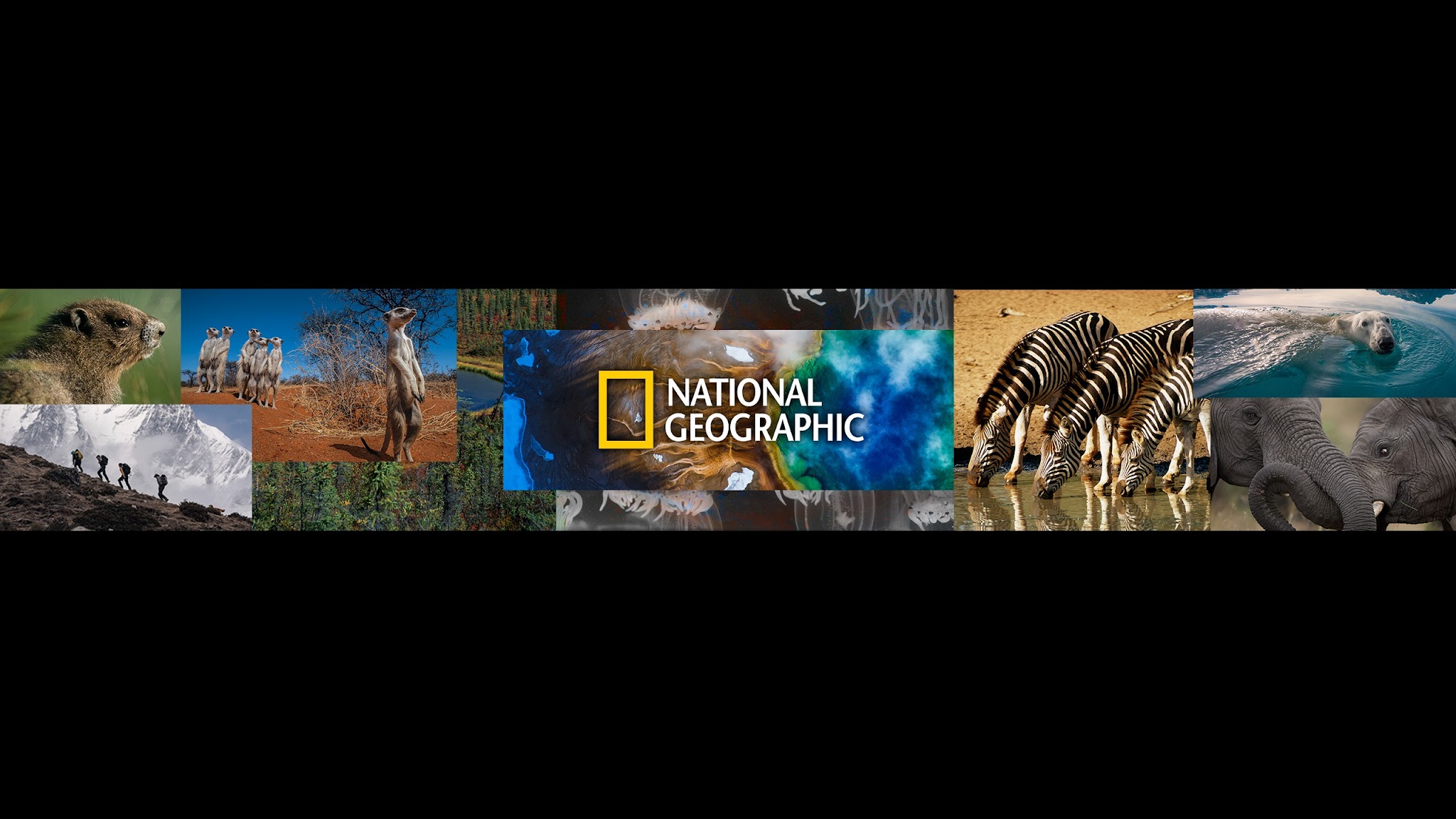 내셔널지오그래픽 - National Geographic Korea YouTube banner