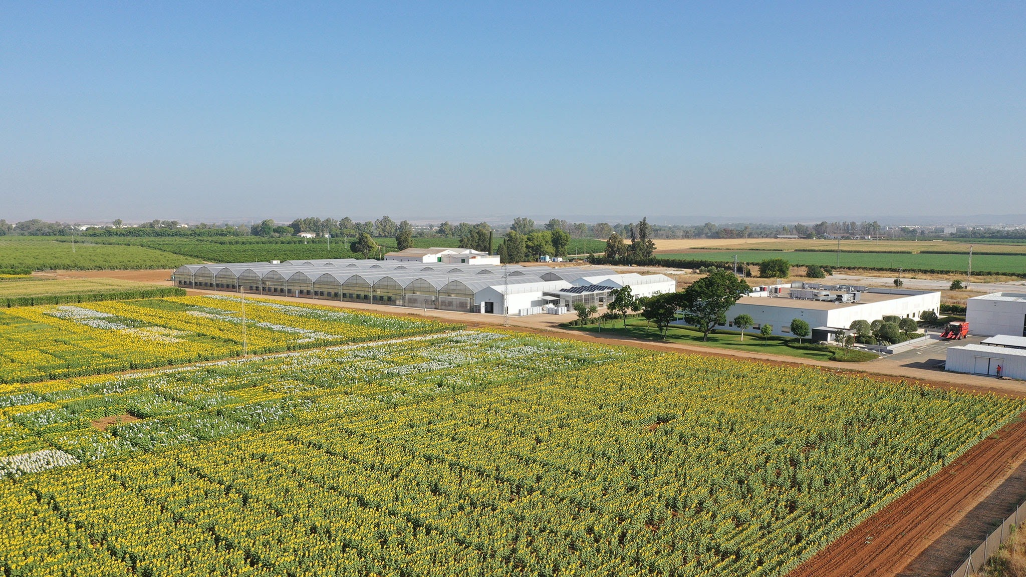Corteva Agriscience España YouTube banner