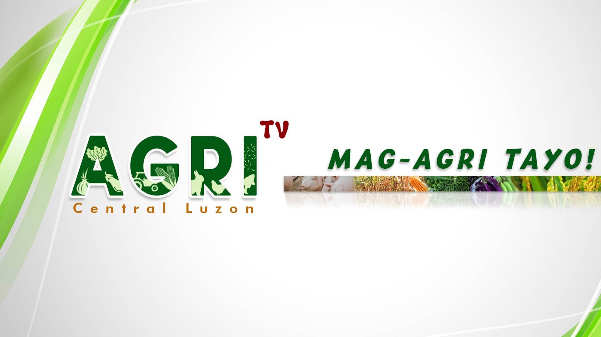 Department of Agriculture Central Luzon YouTube banner