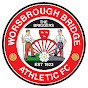 Worsbrough Bridge Athletic FC logo