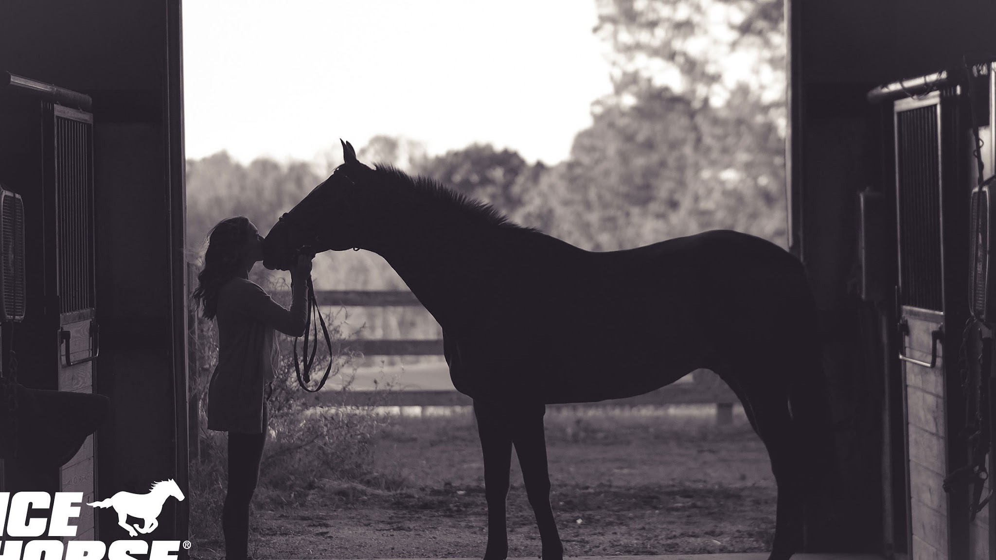 Ice Horse YouTube banner