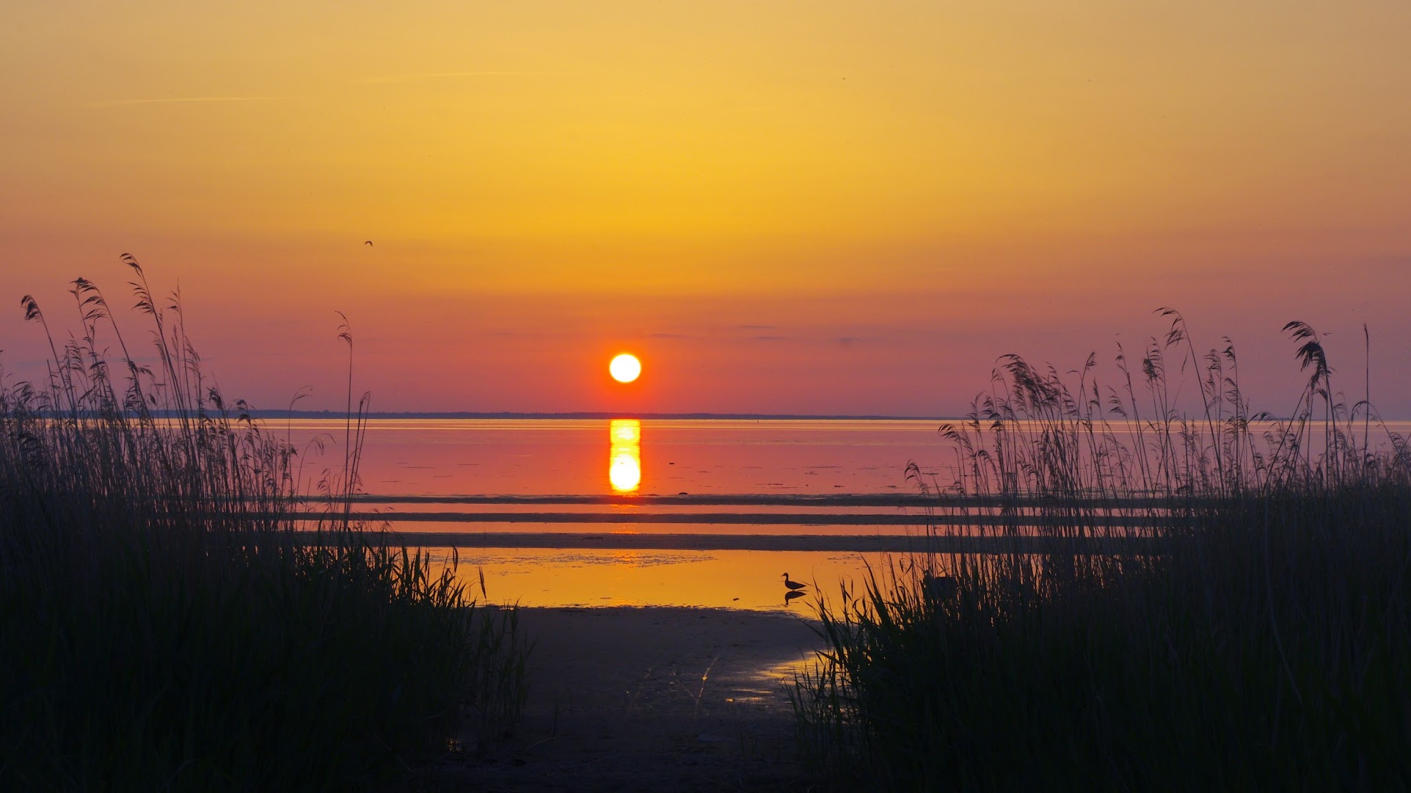 Läänemaa Turism YouTube banner