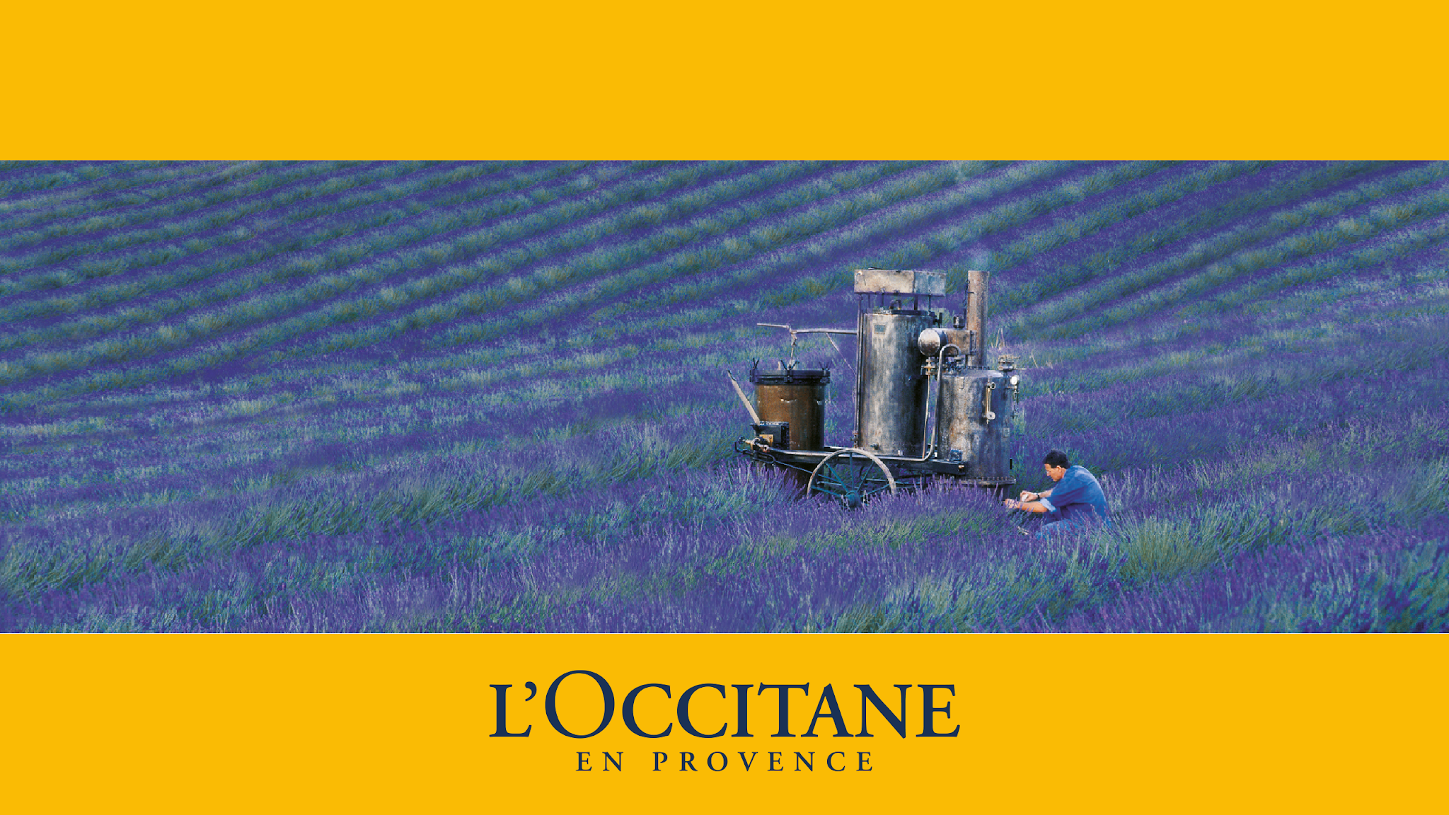L'OCCITANE EN PROVENCE ASIA YouTube banner