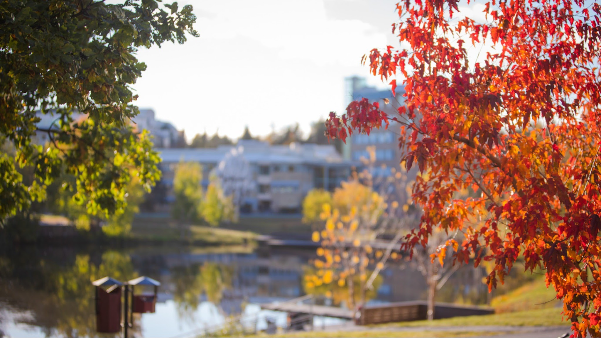 Umeå universitet YouTube banner