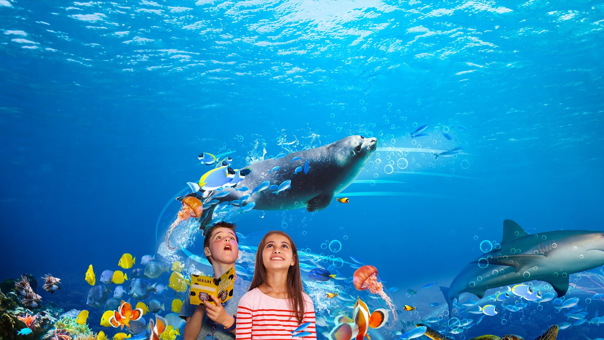 SEA LIFE Blankenberge YouTube banner