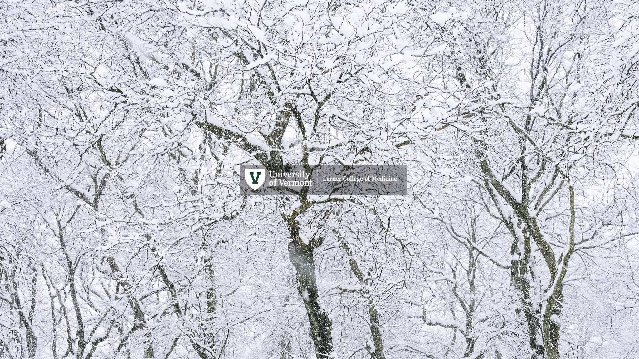 UVMLarnerMed YouTube banner