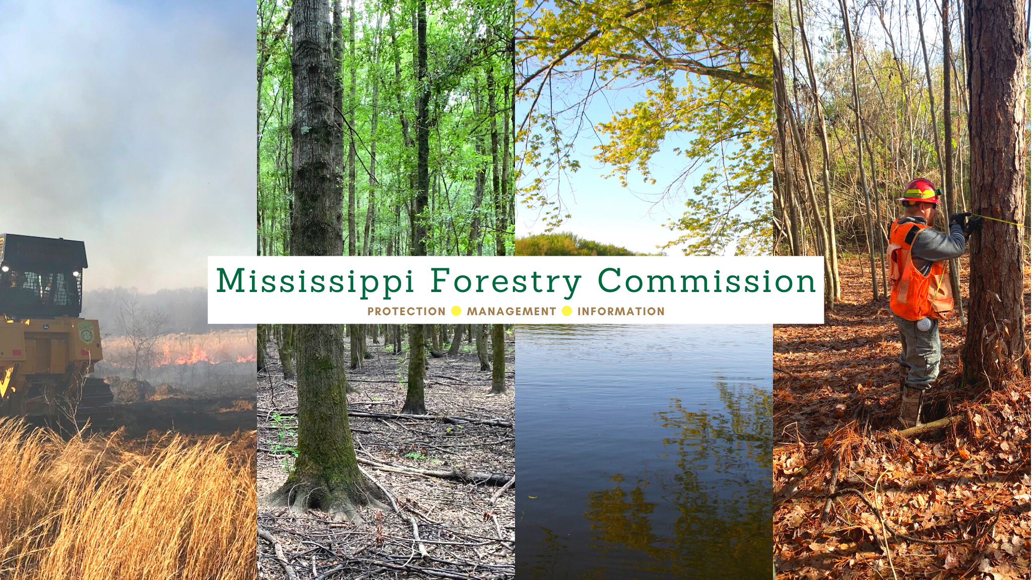 Mississippi Forestry Commission YouTube banner