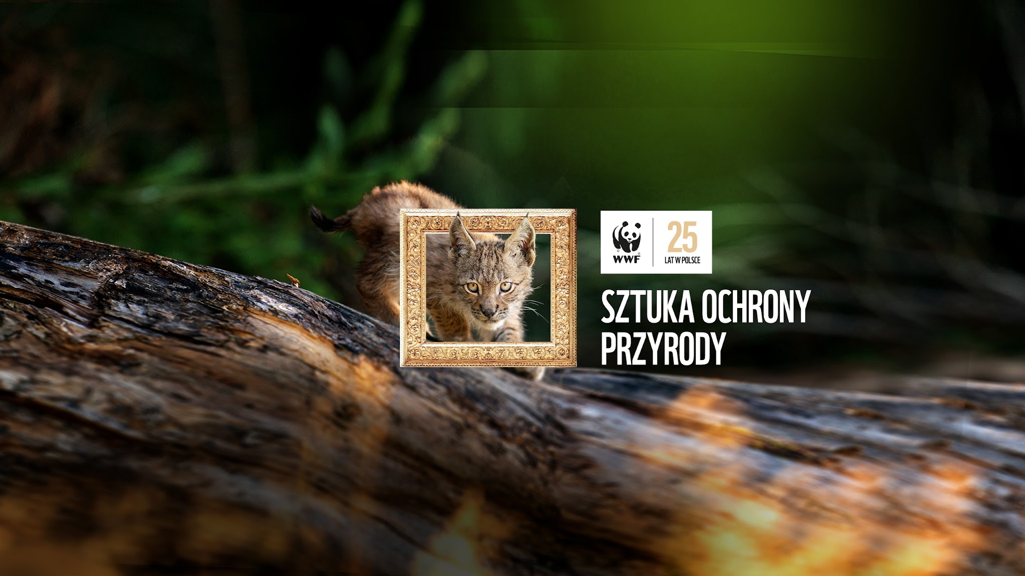 WWF Polska YouTube banner