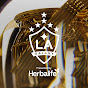 LA Galaxy logo