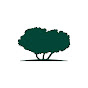 Qatar Foundation | مؤسسة قطر YouTube channel avatar 