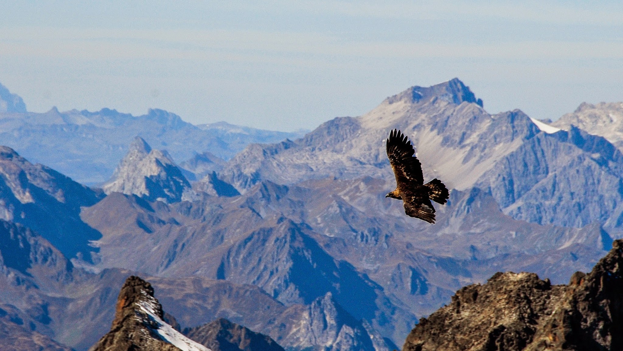 Tiroler Jägerverband YouTube banner