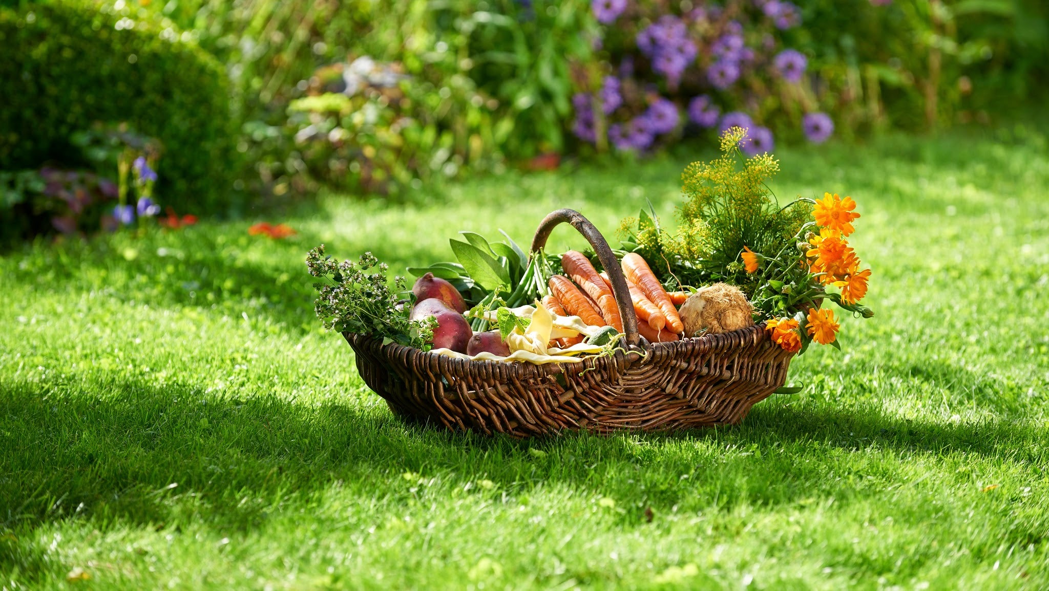 WOLF-Garten Belgique YouTube banner