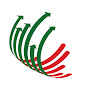 Université Mohammed VI des Sciences et de la Santé logo