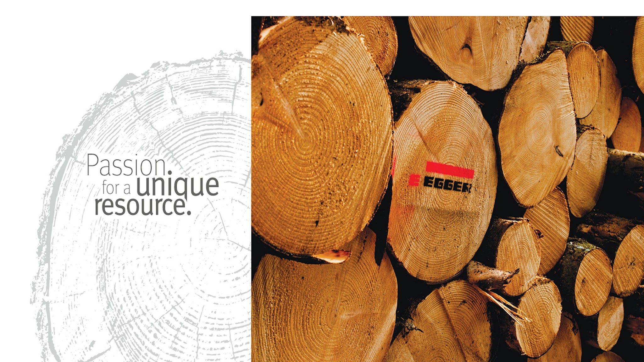 EGGER Group YouTube banner
