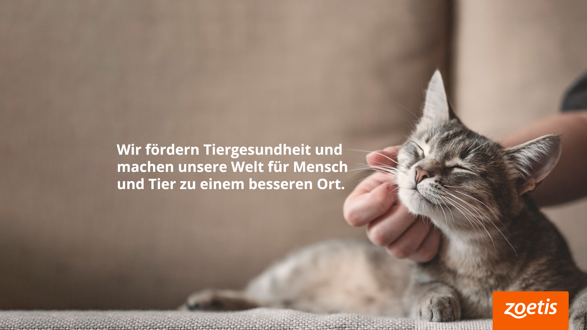 Zoetis Deutschland YouTube banner