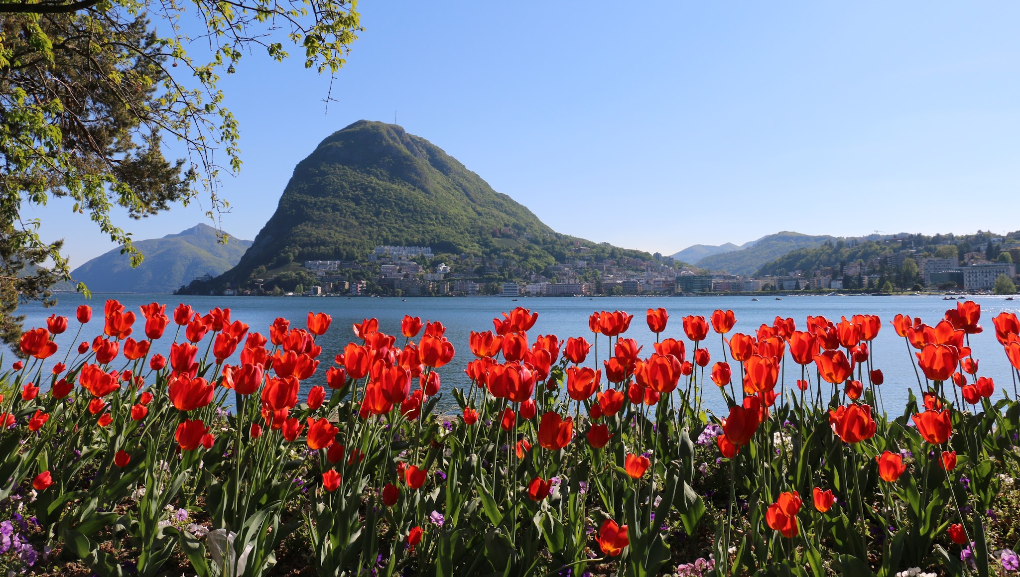 Città di Lugano luganomycity YouTube banner