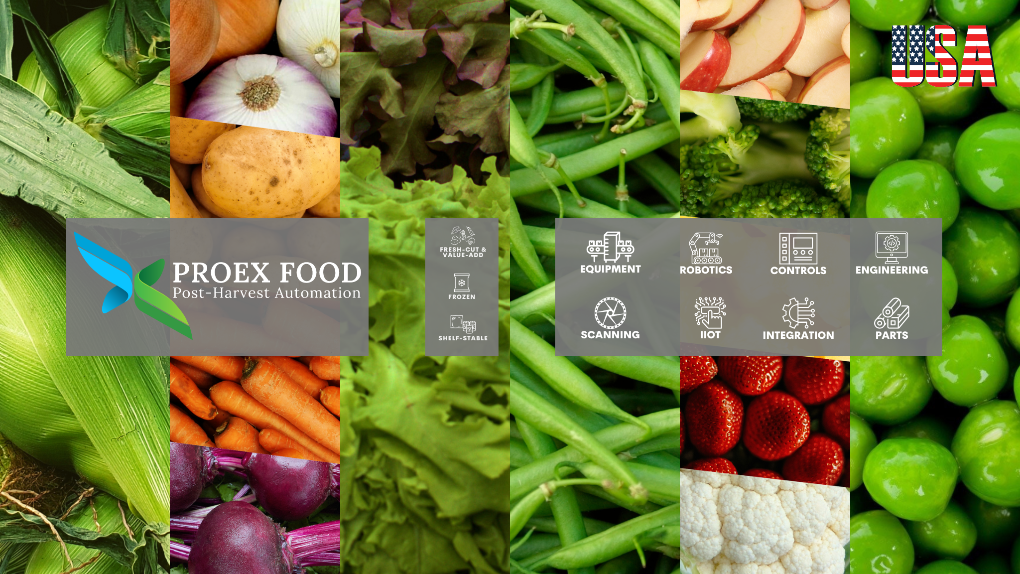 PROEX FOOD YouTube banner