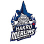 HAKRO Merlins Crailsheim logo