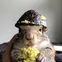 Seymour the Squirrel YouTube channel avatar 