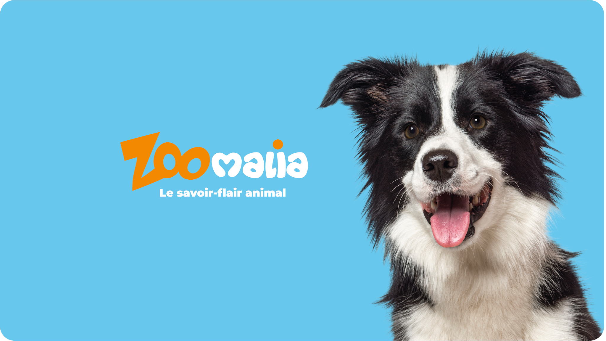 Zoomalia YouTube banner