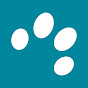 ZooRoyal YouTube channel avatar 