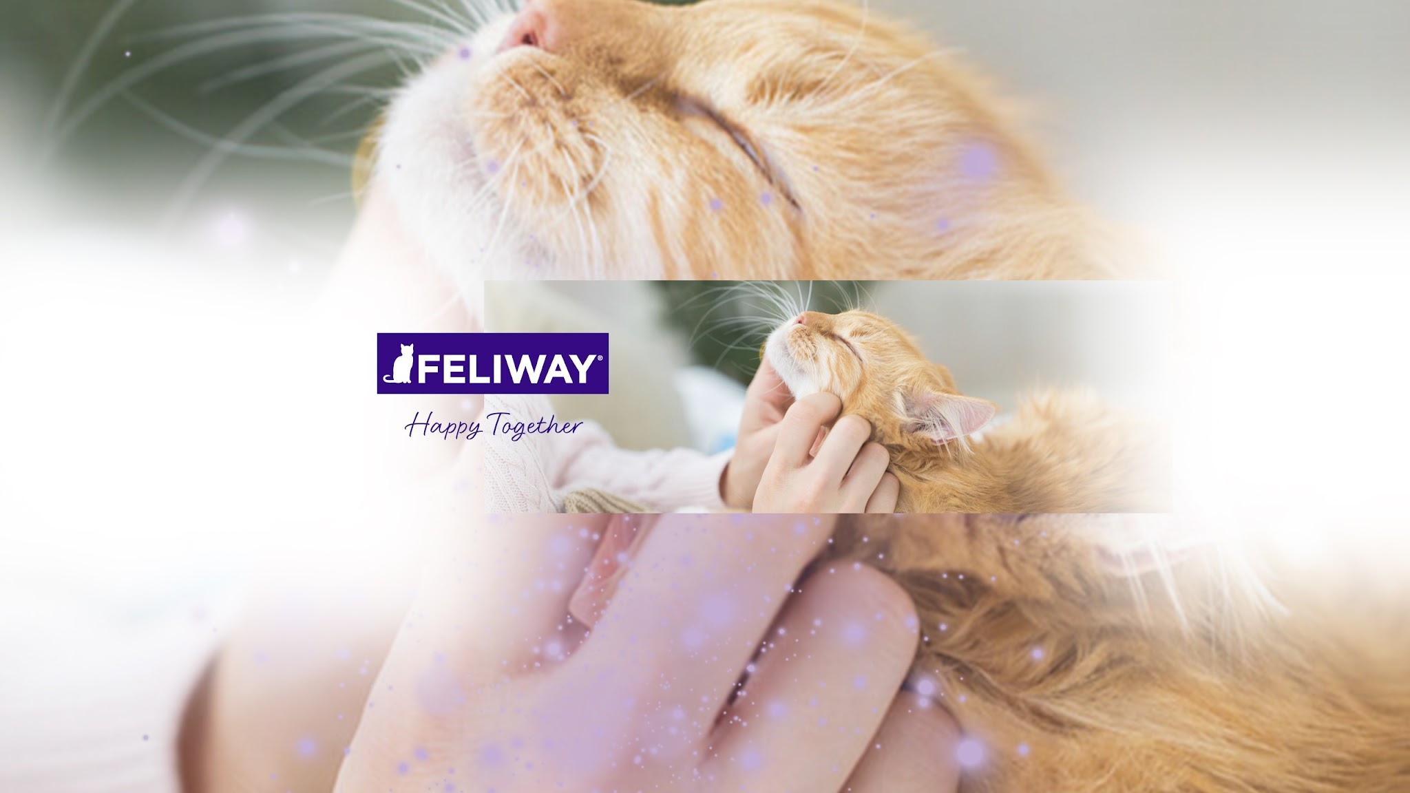 FELIWAY för katter YouTube banner