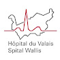 Hôpital du Valais - Spital Wallis  logo
