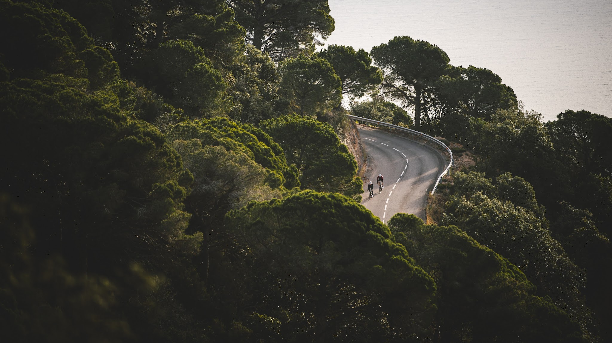 Specialized France YouTube banner