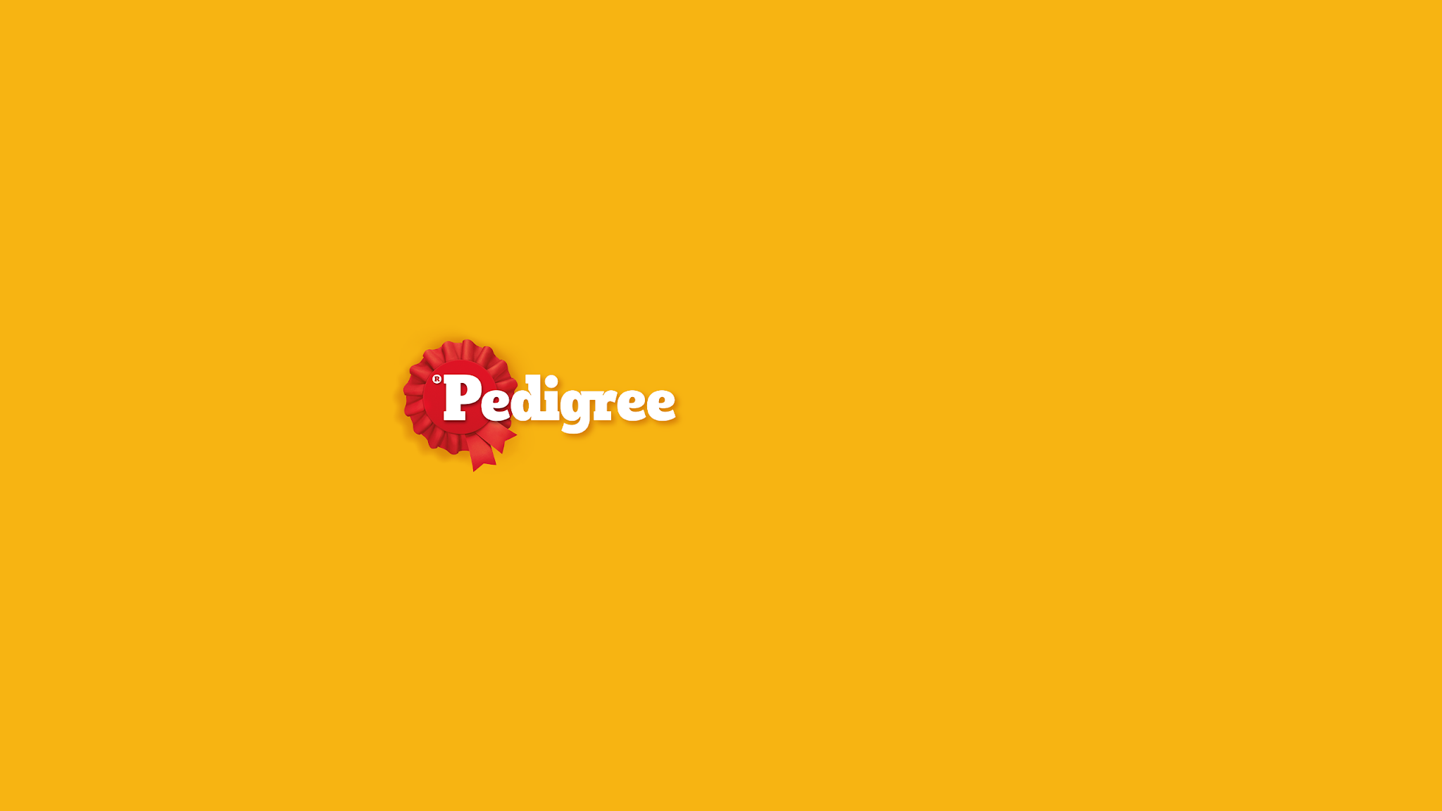 Pedigree CZSK YouTube banner