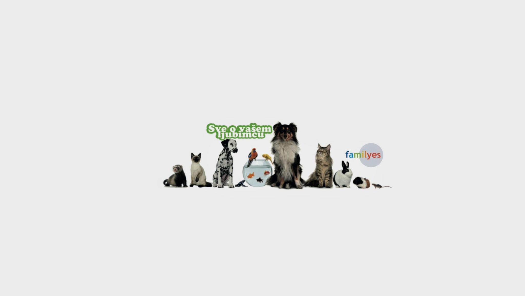 Sve o vasem ljubimcu YouTube banner