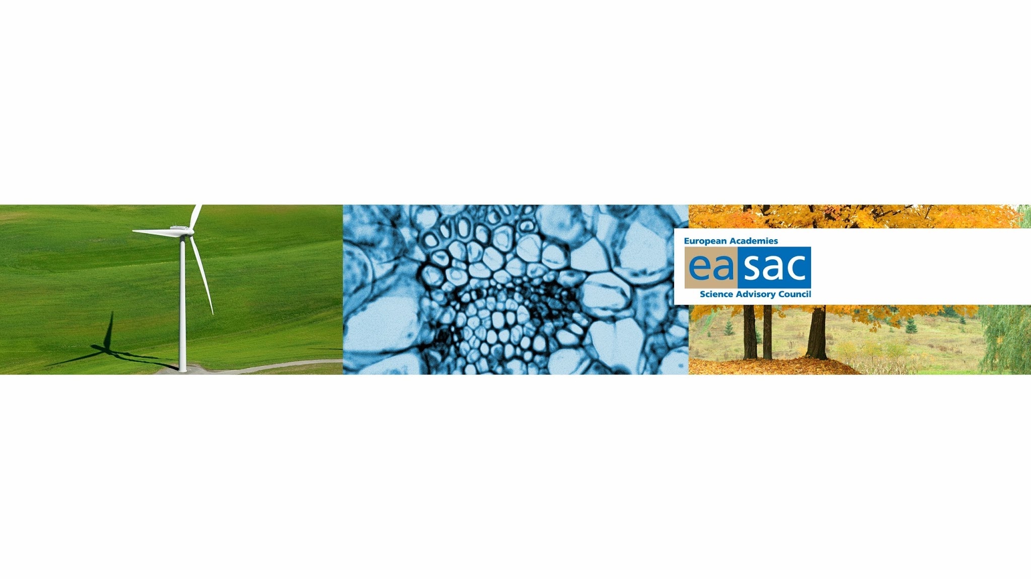 EASAC - European Academies Science Advisory Council YouTube banner