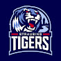 Straubing Tigers Official logo