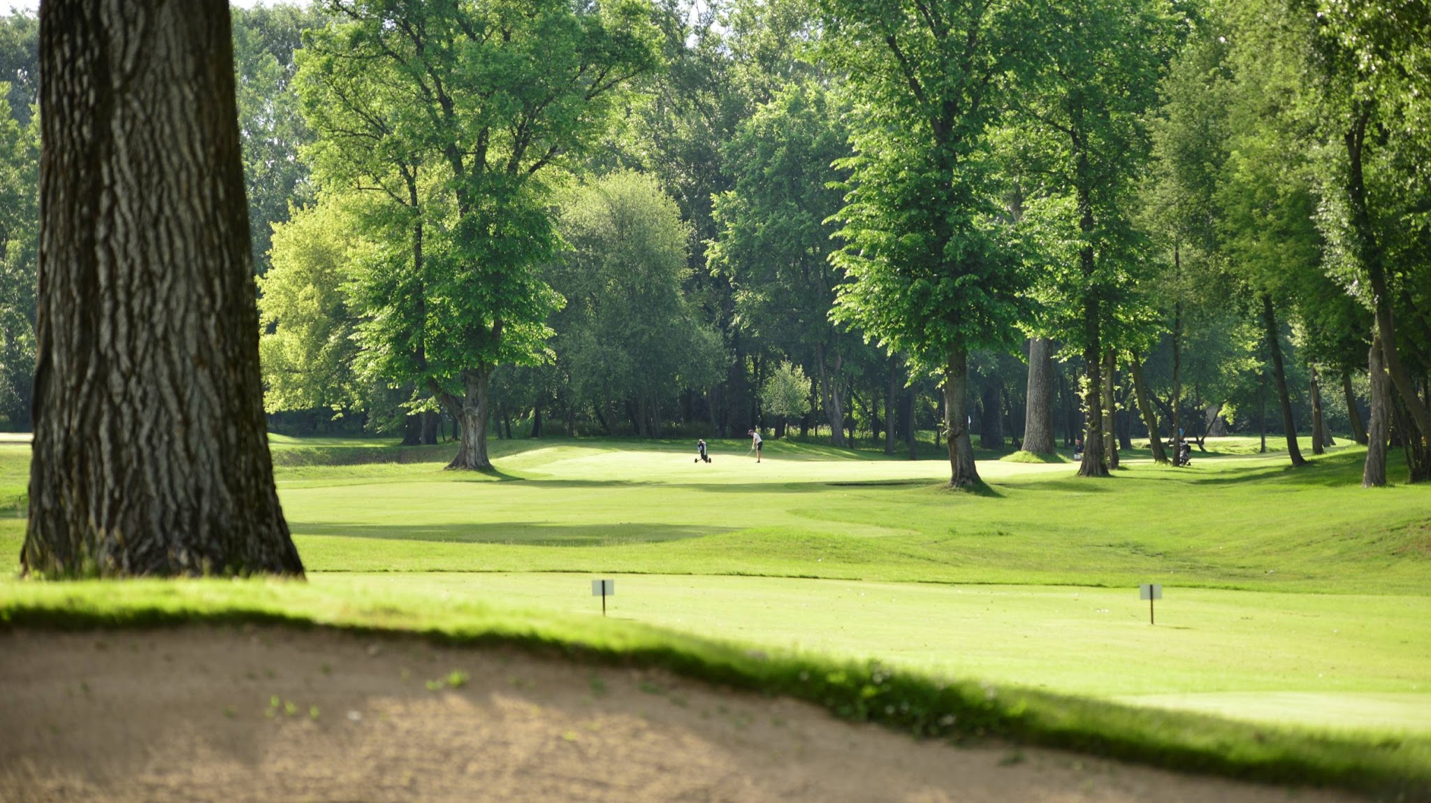 Polski Golf YouTube banner