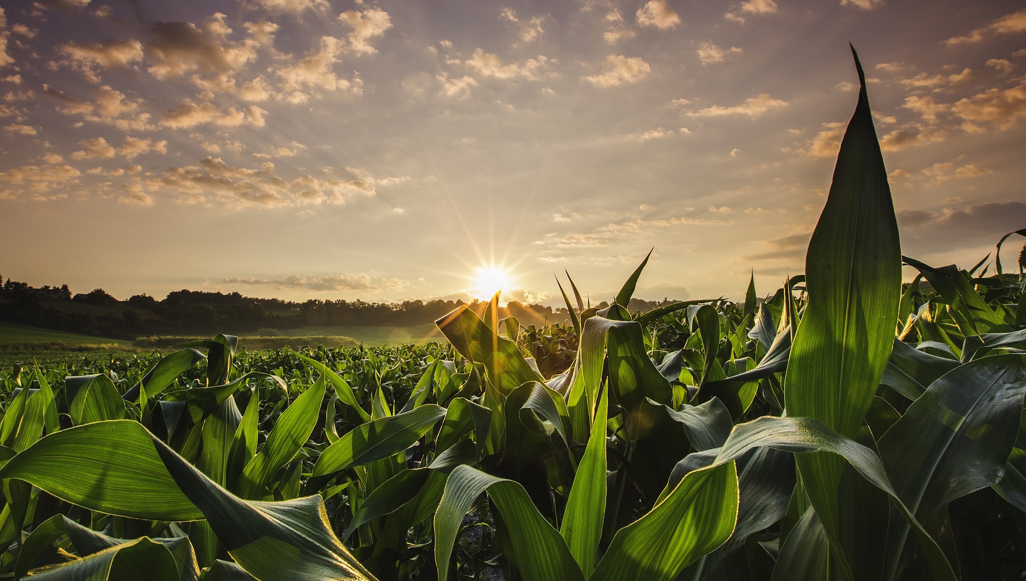 DuPont Brasil YouTube banner