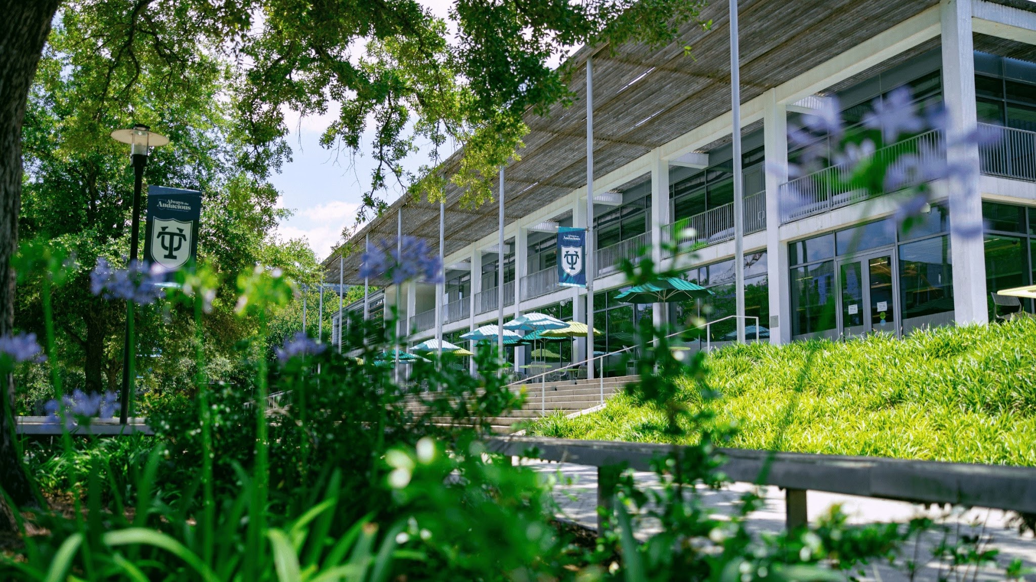 Tulane University YouTube banner