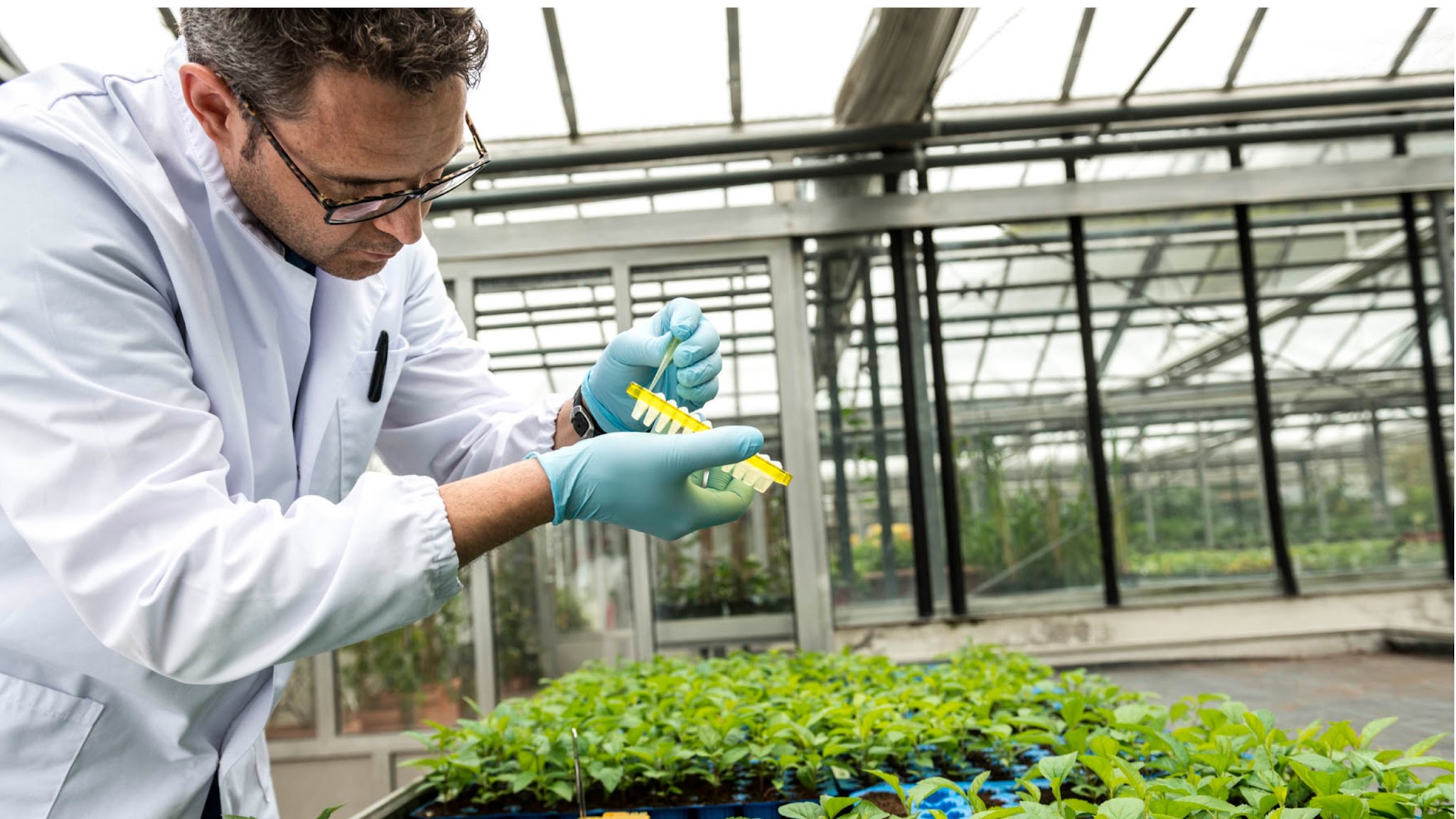 Laimburg Research Centre YouTube banner