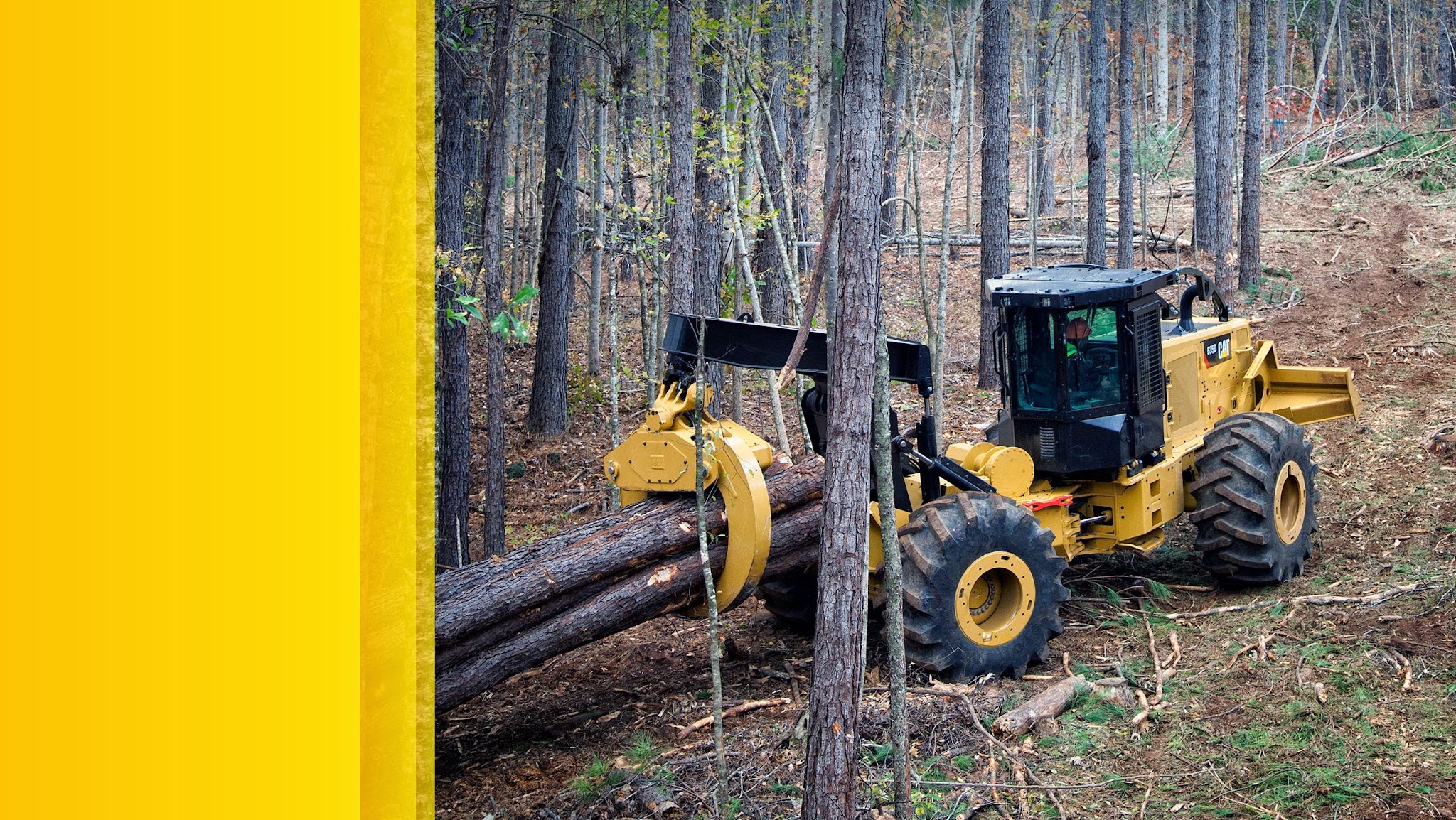 Cat Forestry YouTube banner
