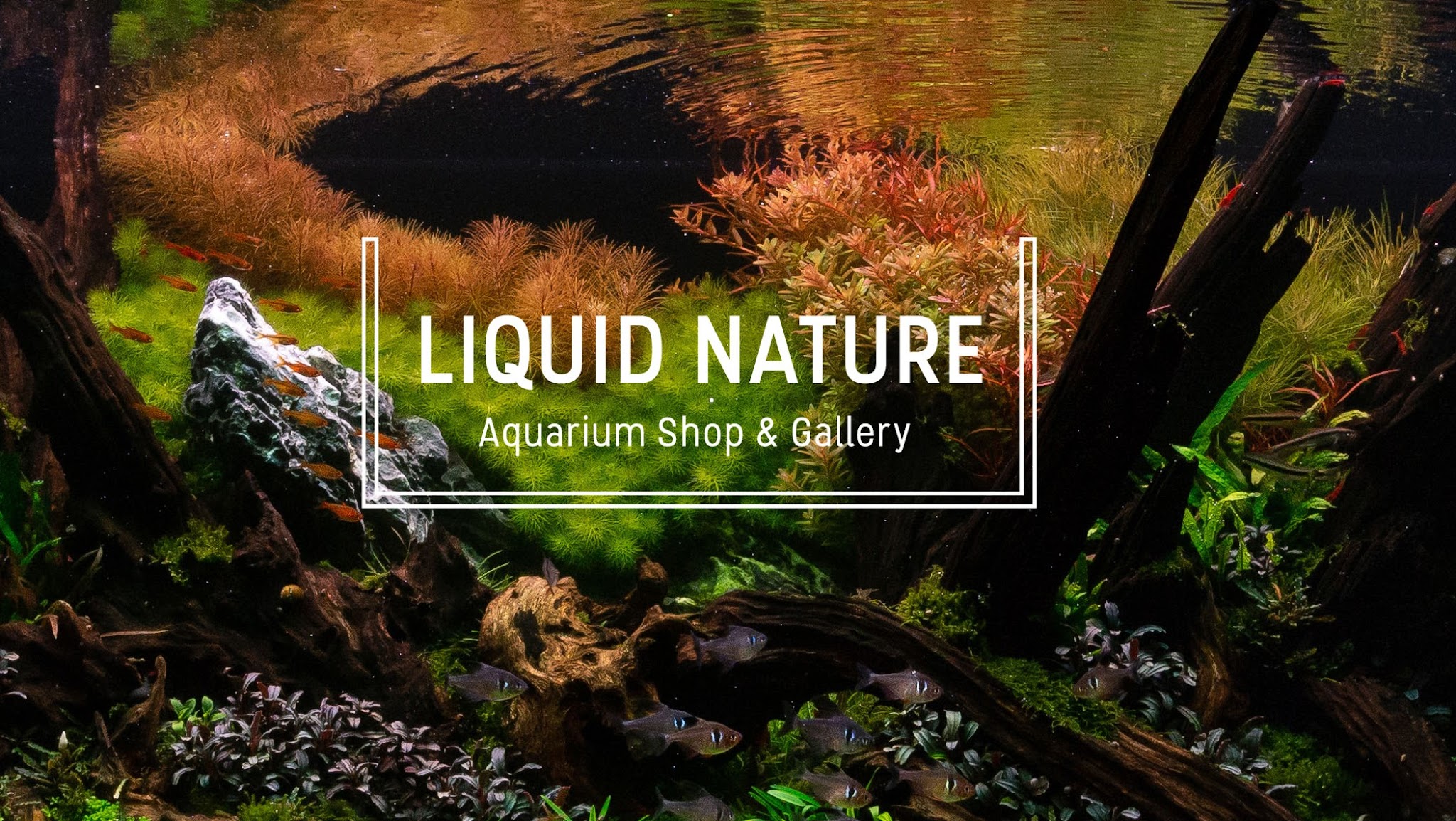 Liquid Nature YouTube banner