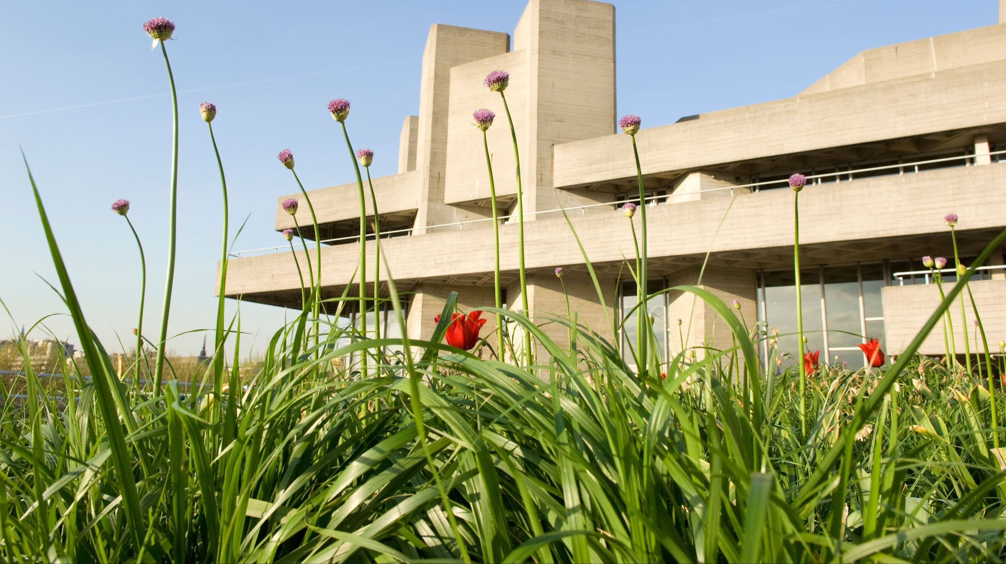National Theatre YouTube banner
