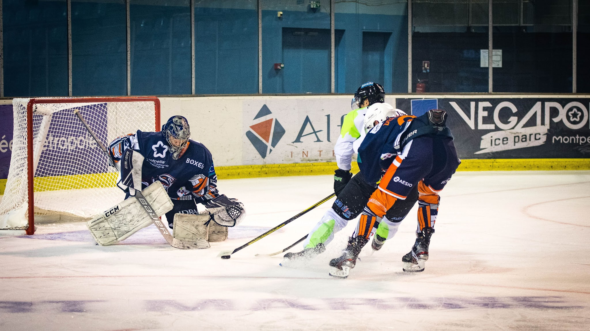 Vipers Montpellier YouTube banner