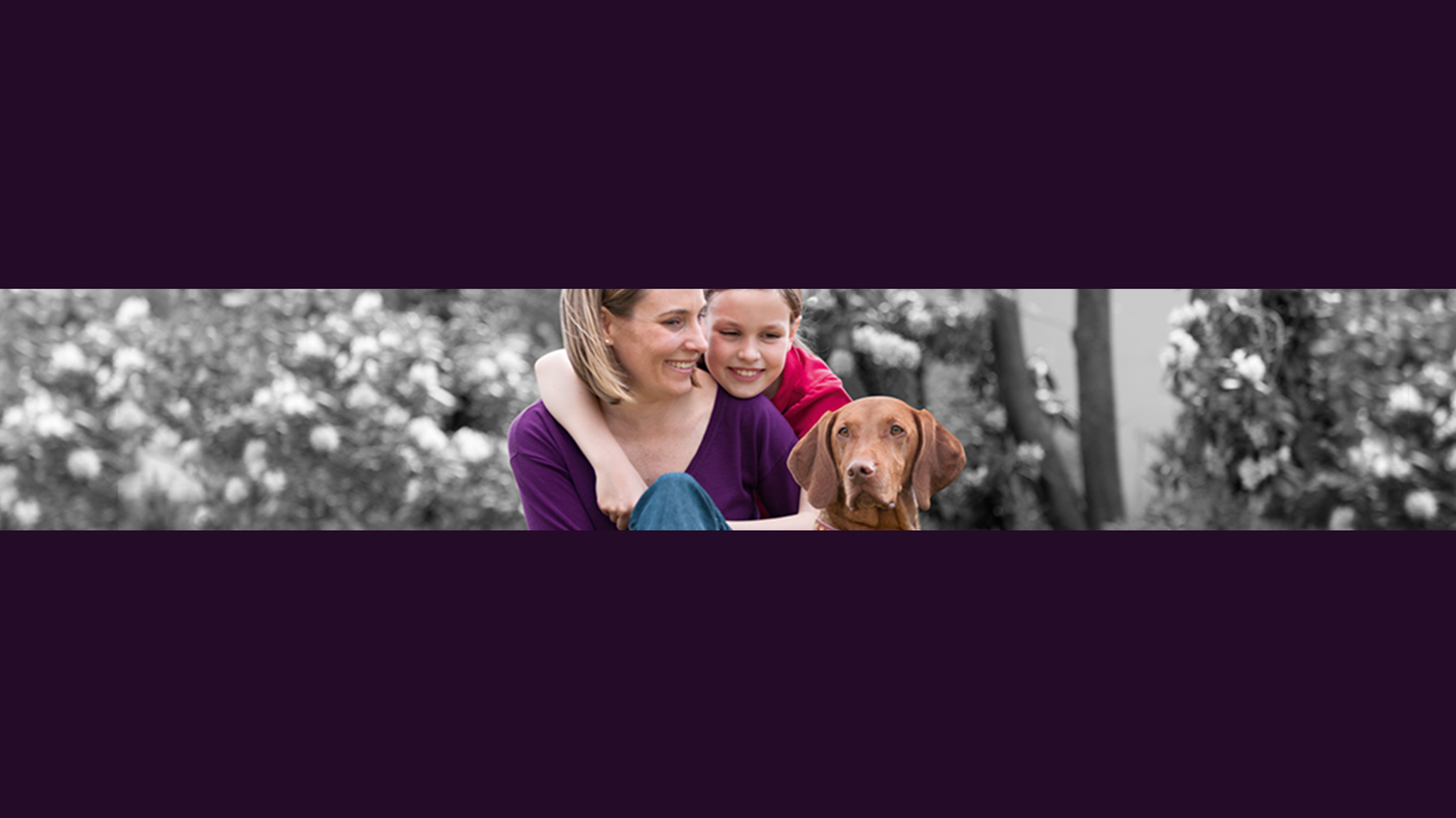 Purina Deutschland YouTube banner