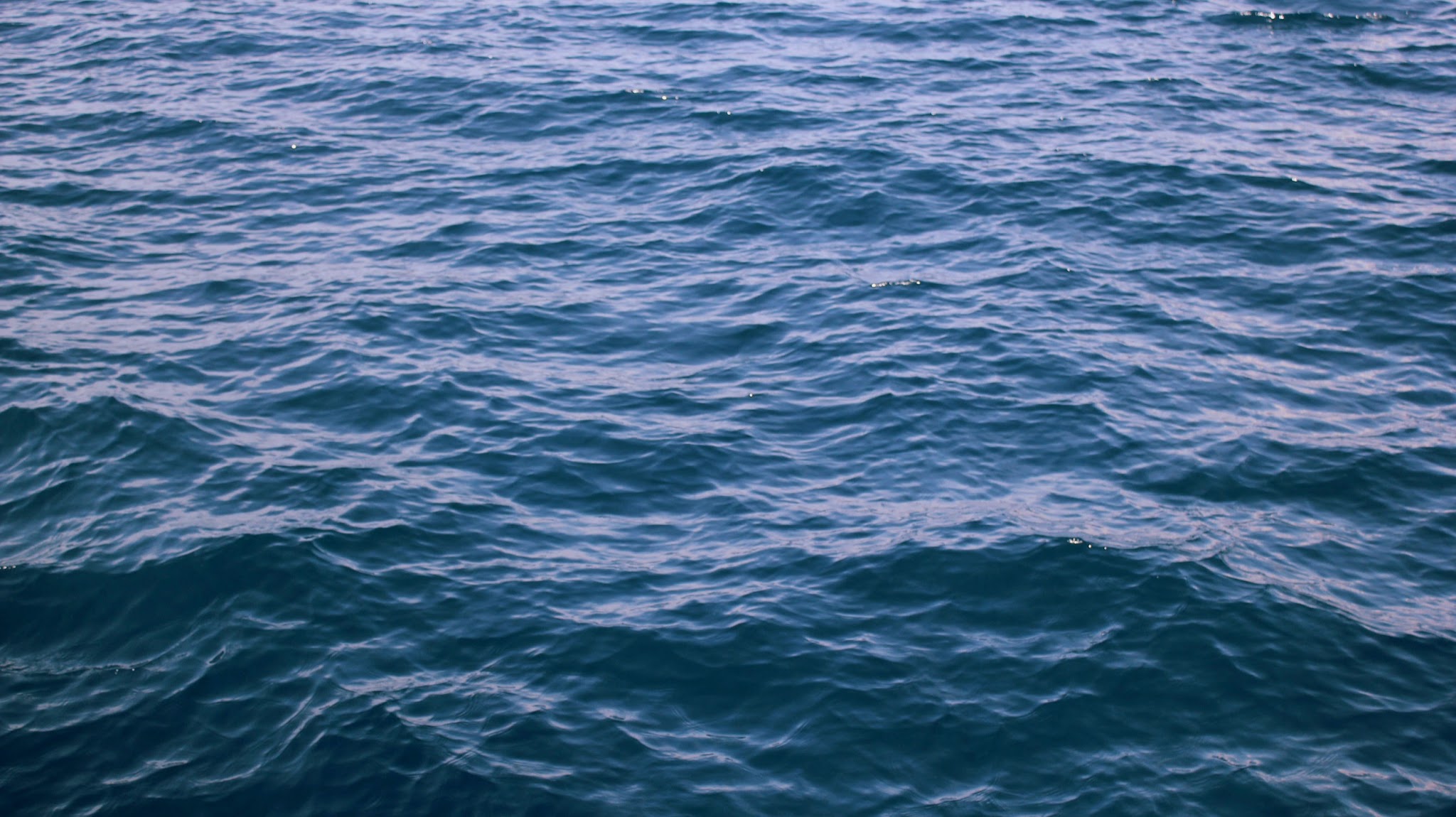International Life Saving Federation (ILS) YouTube banner