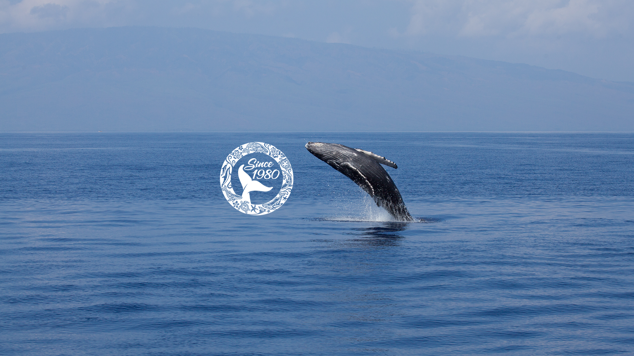 Pacific Whale Foundation YouTube banner