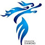 Guangzhou Dragon Diamond Technology Co., Ltd logo