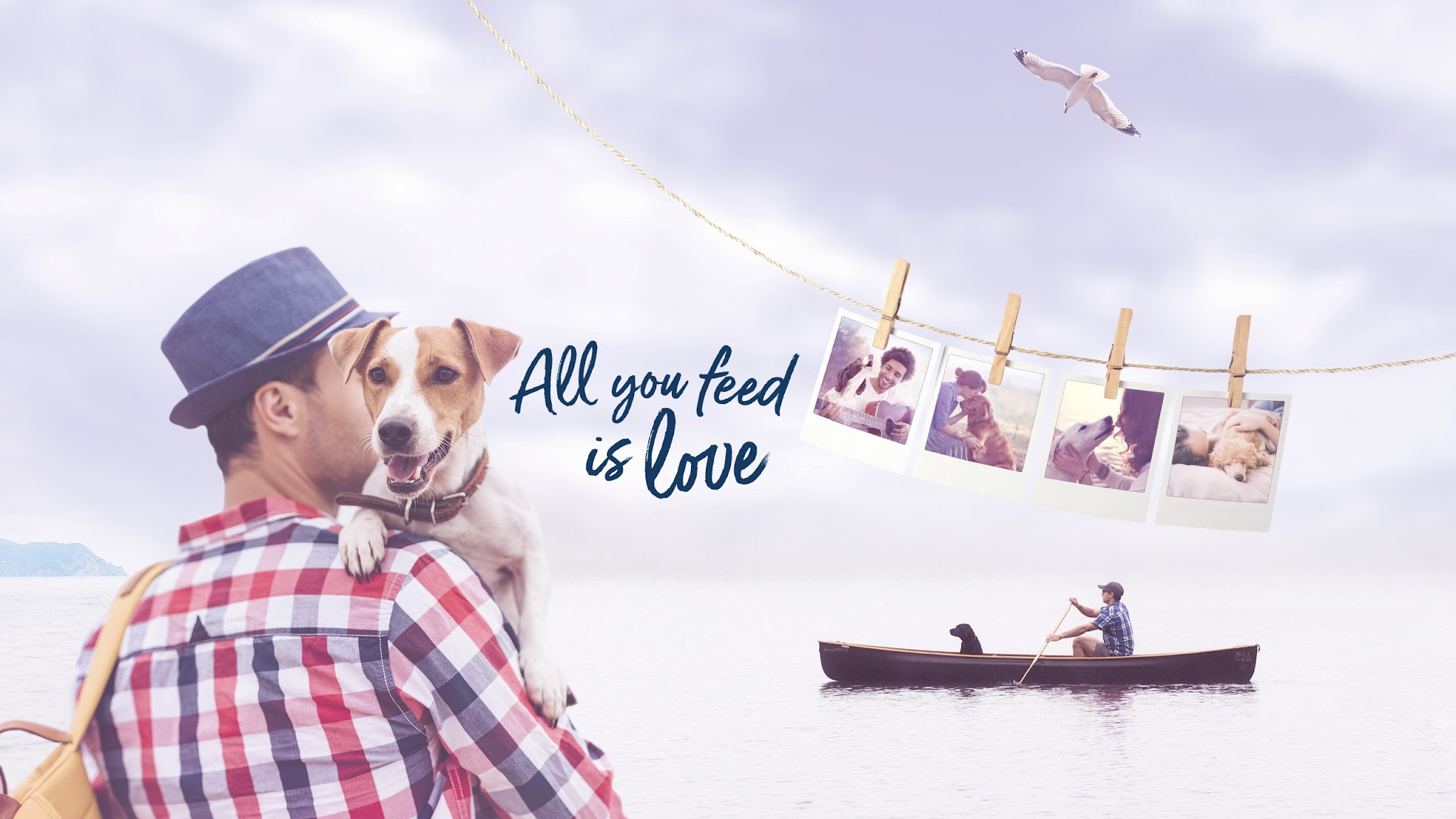 Happy Dog Deutschland YouTube banner