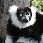 Tierwelt Tierpark Herberstein logo